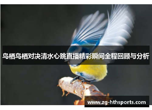 鸟栖鸟栖对决清水心跳直播精彩瞬间全程回顾与分析 鸟栖鸟栖对决清水心跳直播精彩瞬间全程回顾与分析